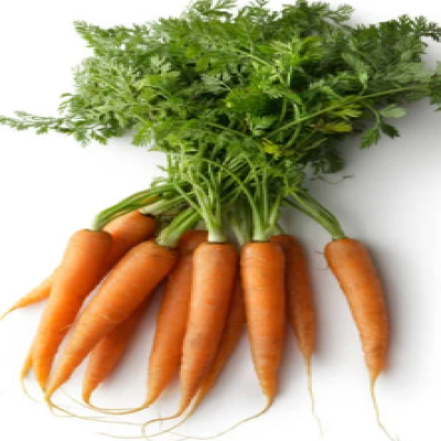 Carrots, Dutch, bunch