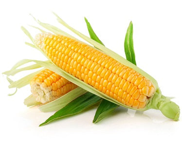 Corn, Sweet (each)