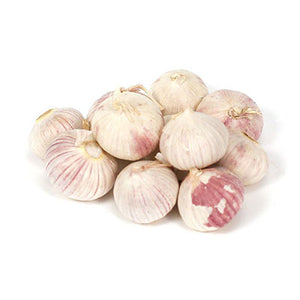 Garlic Bulb - each