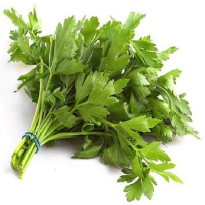 Parsley, Continental, bunch