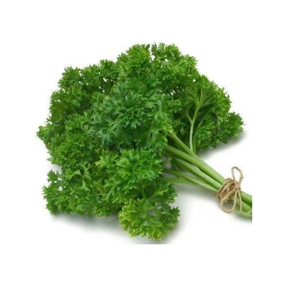 Parsley, Curly, bunch