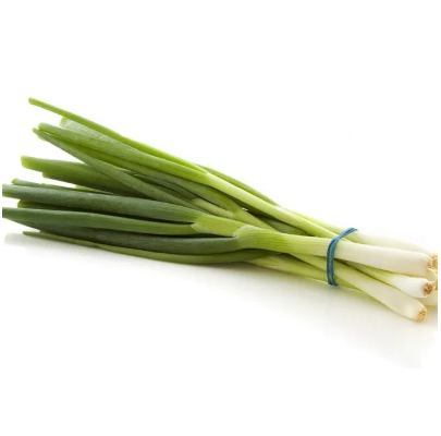 Onion, spring, bunch